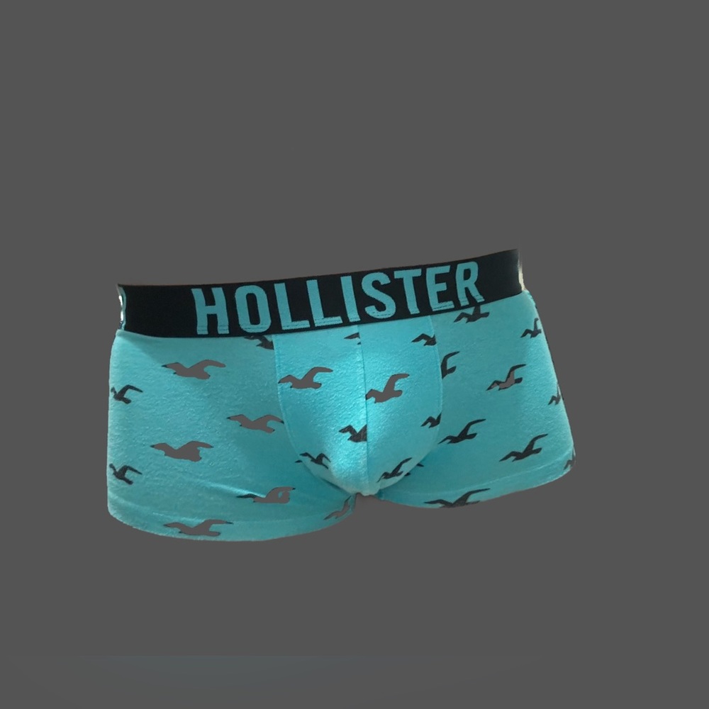 Hollister Boxer Brief - Picture 6 of 7